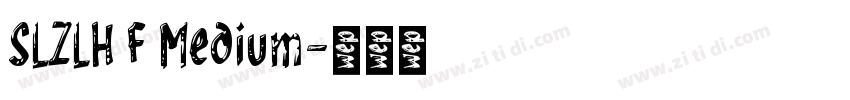 SLZLH F Medium字体转换